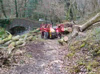 Fallen Exmoor trees still being cleared after Storm Darragh