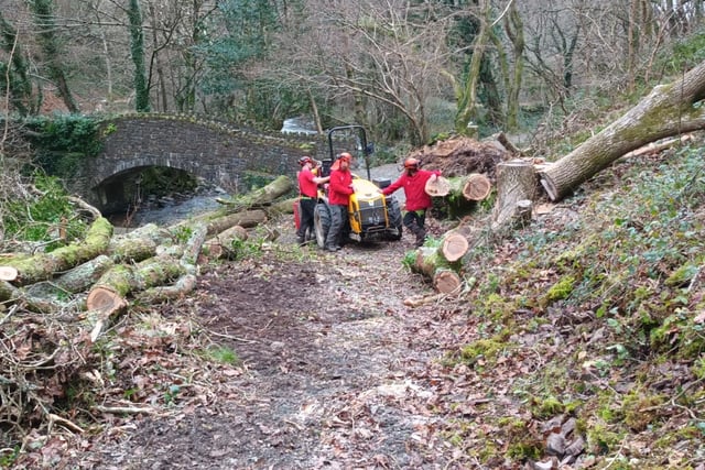 Fallen Exmoor trees still being cleared after Storm Darragh