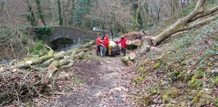 Fallen Exmoor trees still being cleared after Storm Darragh