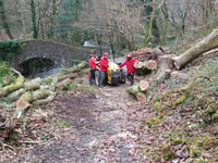 Fallen Exmoor trees still being cleared after Storm Darragh