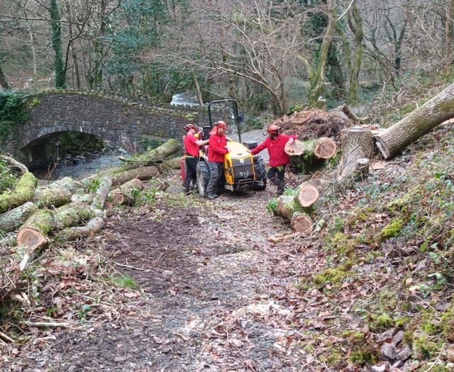 Fallen Exmoor trees still being cleared after Storm Darragh