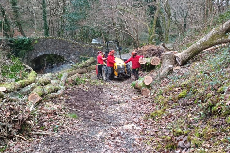 National Trust rangers clearing storm damage in Exmoor's Heddon Valley. PHOTO: Tyler Farrow.