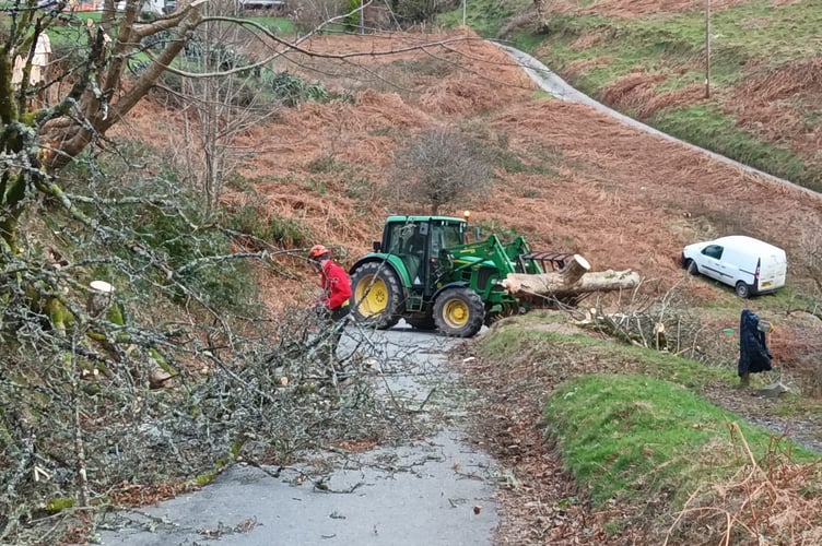 Storm Damage clearance on Exmoor (Photo: Tyler Farrow)
