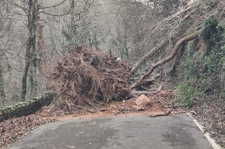 Storm Damage in West Exmoor (Photo: Merv Broughton)