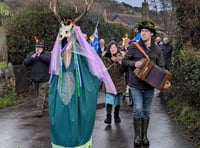 Great Green Stag appears for village's wassail