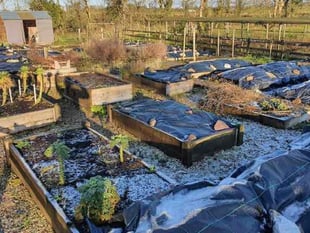 Good Gardening: Have you joined this garden cover-up?