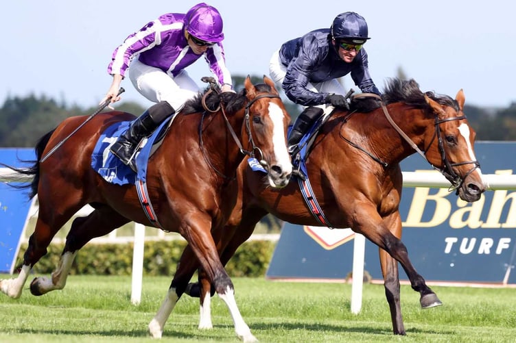 Another treble for West Somerset pair