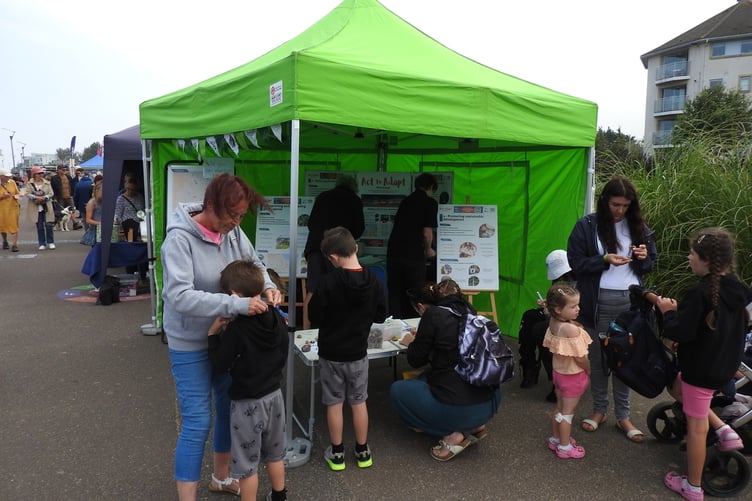 Consultation being carried out in 2024 for a Minehead climate adaptation plan. PHOTO: SWT.