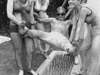 Mystery of West Somerset bed of nails photo
