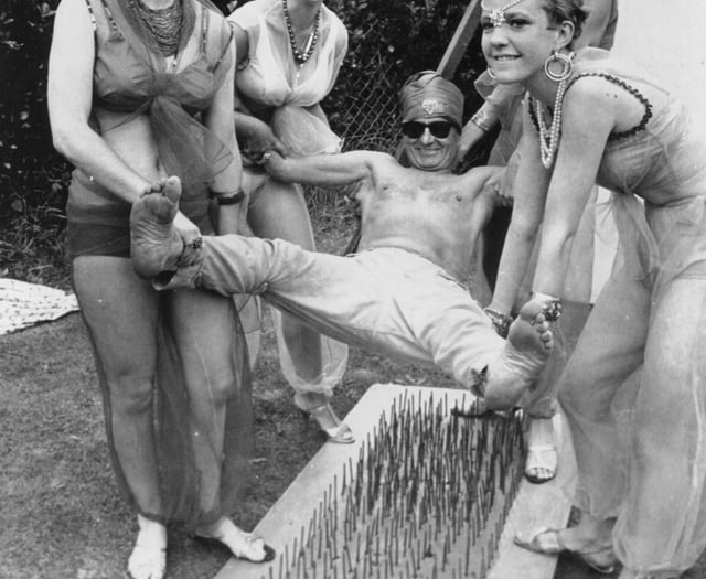 Mystery of West Somerset bed of nails photo