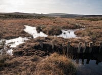 National Trust launches ambitious 10-year nature crisis plan