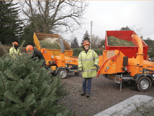 Hospice raises £32,000 in Christmas tree collection scheme