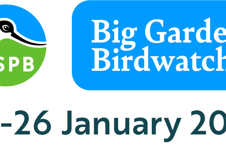 RSPB's Big Garden Bird Watch returns this month