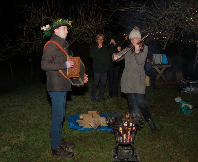Carhampton Community Orchard hosts annual wassail - video and pictures