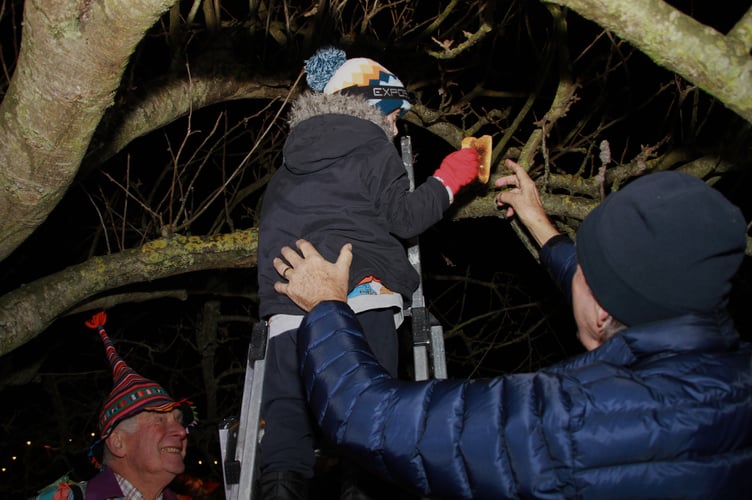 The Carhampton Wassail underway
