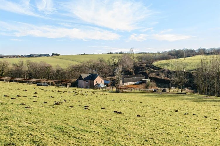 View from the fields