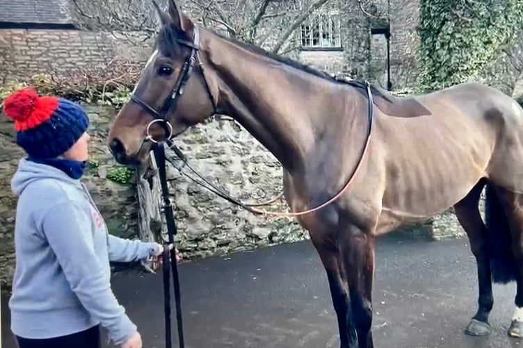 Starzand with Gail on his first morning at the yard