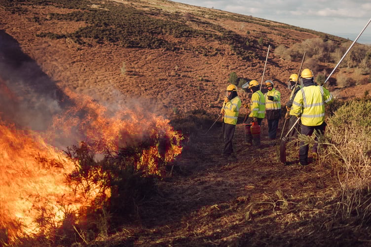 Swaling taking place on the Quantock Hills. PHOTO: QHNLP.