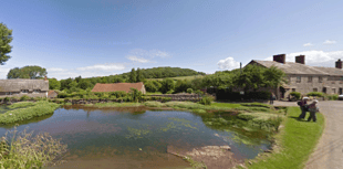 999 'mistakes' as woman bleeds to death in her garden