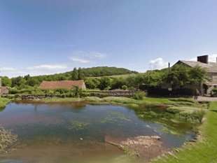 999 'mistakes' as woman bleeds to death in her garden