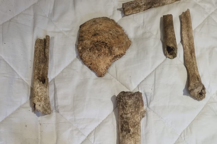 Bones which were discovered outside St MaryÕs Church in Mudford, Somerset, following flooding. Release date February 10 2025. A local farmer was ÔspookedÕ after coming across suspected human remains following flooding at a graveyard. Stephen Bartlett, 61, was walking around on Wednesday, January 29, after a weekend of heavy flooding when he spotted bones outside his local church. He said: ÒI was walking along and I saw what looked like a legbone sticking out, then when I looked down on the ground, actually on the road, I found an ulna, an arm bone, and a collarbone. ÒI couldnÕt leave them there on the road sticking out, because they could end up being washed away in the next flood.Ó The former soldier, who served in the Balkans, said he knew exactly what he was looking at when he came across the remains outside St MaryÕs Church in his hometown of Mudford, Somerset. Stephen says he thinks the bones could belong to multiple people. He has now reported the findings to police.