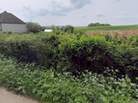 Plans for new social housing in West Bagborough