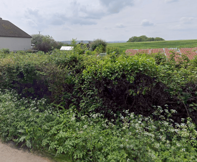 Plans for new social housing in West Bagborough