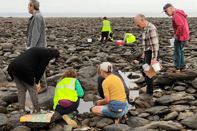 Rock pooling is among the activities lined up for the Exmoor Nature Festival 2025. PHOTO: ENPA.