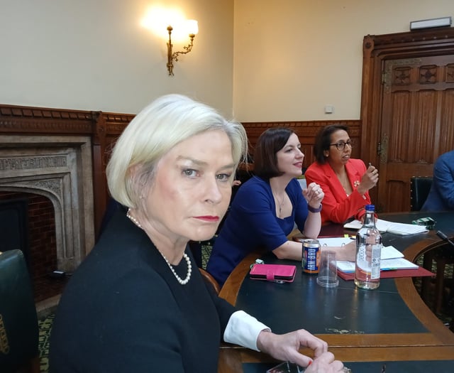 MP expresses urgent need to address “shortcomings in education”