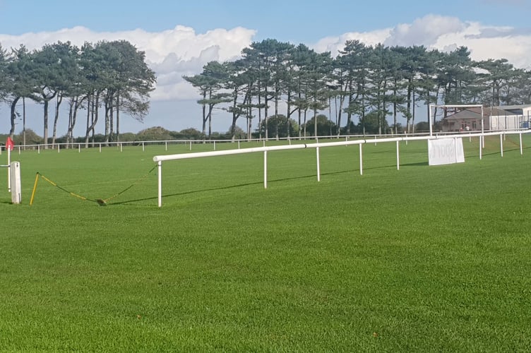 Watchet Memorial Ground, where £2,000 of work is needed to repair a path damaged by tree roots.
