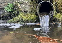 MPs say 'environmental damage' from Wessex Water sewage spills cannot be undone