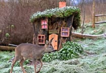 Cottage made from old tree stump attracts host of animals to garden