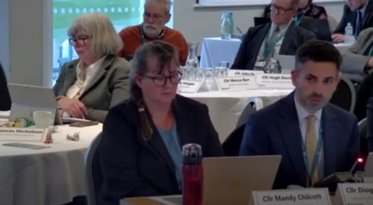 Councillor Diogo Rodrigues, right, at the full council meeting at Somerset County Cricket Club in Taunton (Image: Somerset Council)