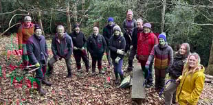 Volunteers help to rediscover historic woodland
