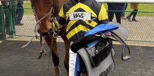 River Run Free wins for second successive race over fences 