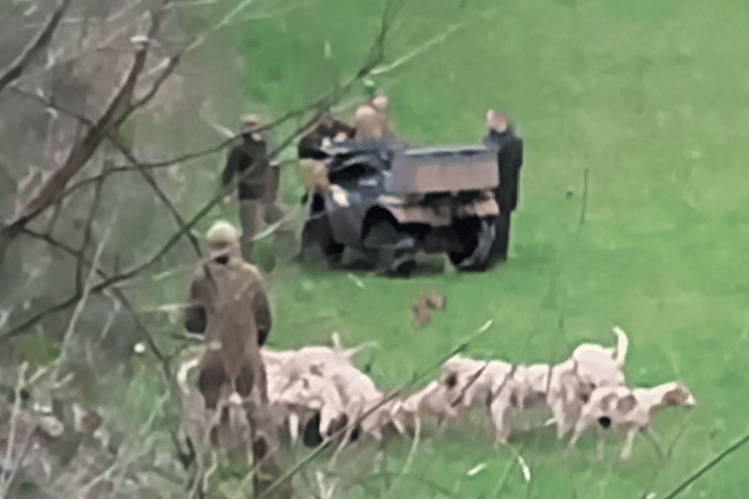 Hounds were filmed at the scene of a fox kill outside a home in Lydeard St Lawrence.