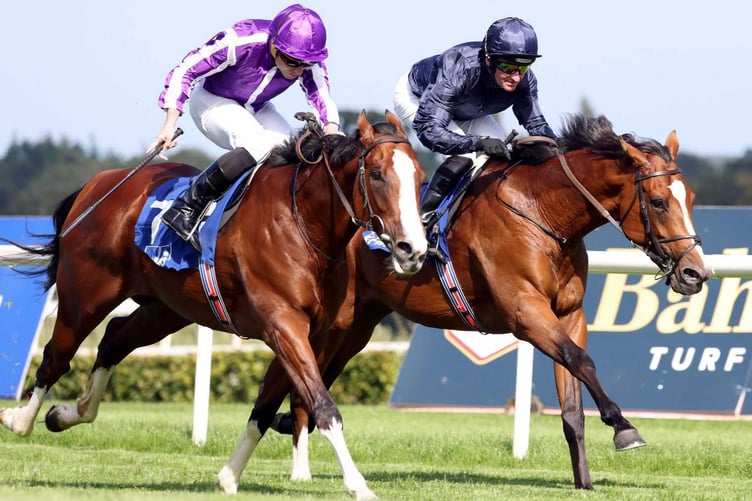 Success for local trainers Scott and Kittow