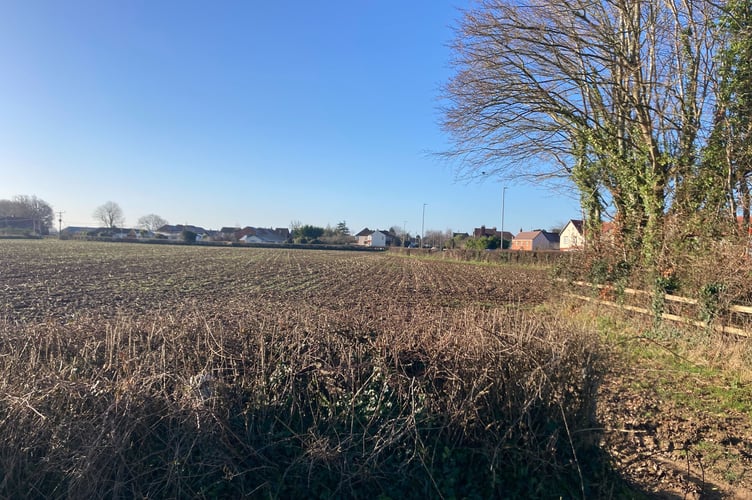 View of planned housing development from Park Lane in North Petherton (Photo: Daniel Mumby)