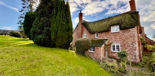 Chocolate-box cottage in idyllic countryside on market for £475,000