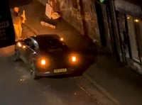 Man smashes up Polestar car in 'bizarre' protest towards Elon Musk