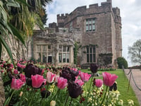 Watch colour wash over the garden at Dunster Castle this spring