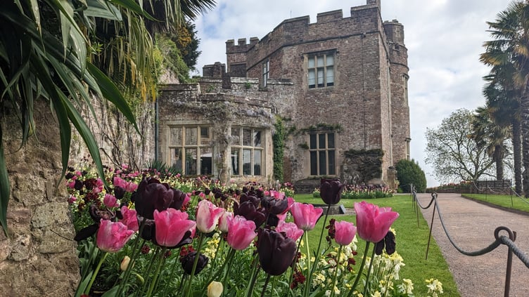 Dunster Castle in the spring (Photo: Hattie Pinches, National Trust)
