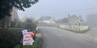 'Completely bonkers' EDF saltmarsh plan halted - for now