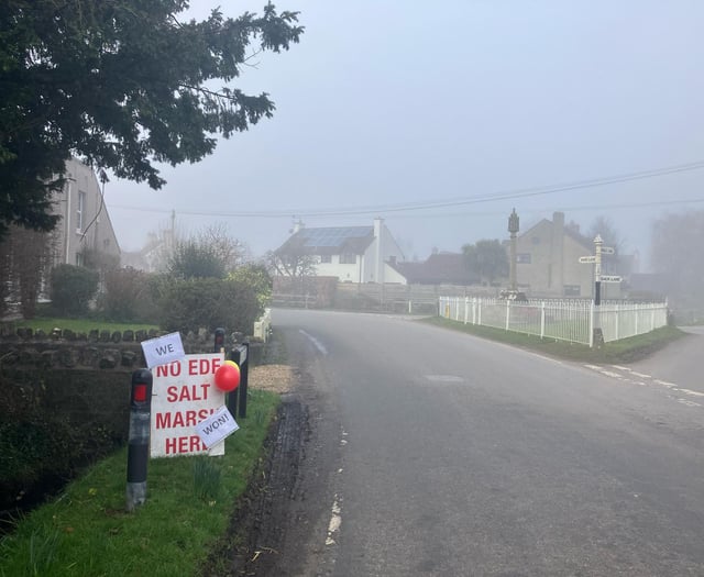 'Completely bonkers' EDF saltmarsh plan halted - for now