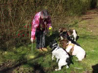'Shame' as hundreds of piles of dog poo left in one short road