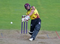 Veteran Roelof van der Merwe leaves Somerset 