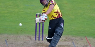 Veteran Roelof van der Merwe leaves Somerset 
