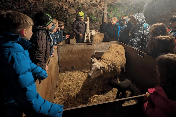 Lambing time at Exmoor Farm School is experienced by schoolchildren thanks to FiLP funding.