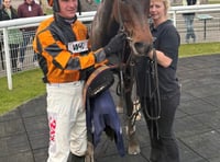 Forty-seven winners for Pipe's yard 