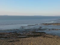 Urgent appeal after body of man found on West Somerset beach